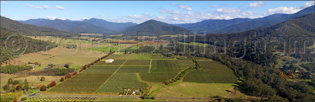 Peter Bellingham Photography Buckland Valley - VIC (PBH3 00 34104)